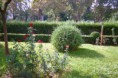/album/jardines-del-mar1/a2035972-2-jpg/