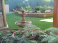 /album/jardines-del-mar1/dsc05895-jpg/