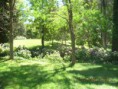 /album/jardines-del-mar1/facebook-2447212764000619333-image-jpg/